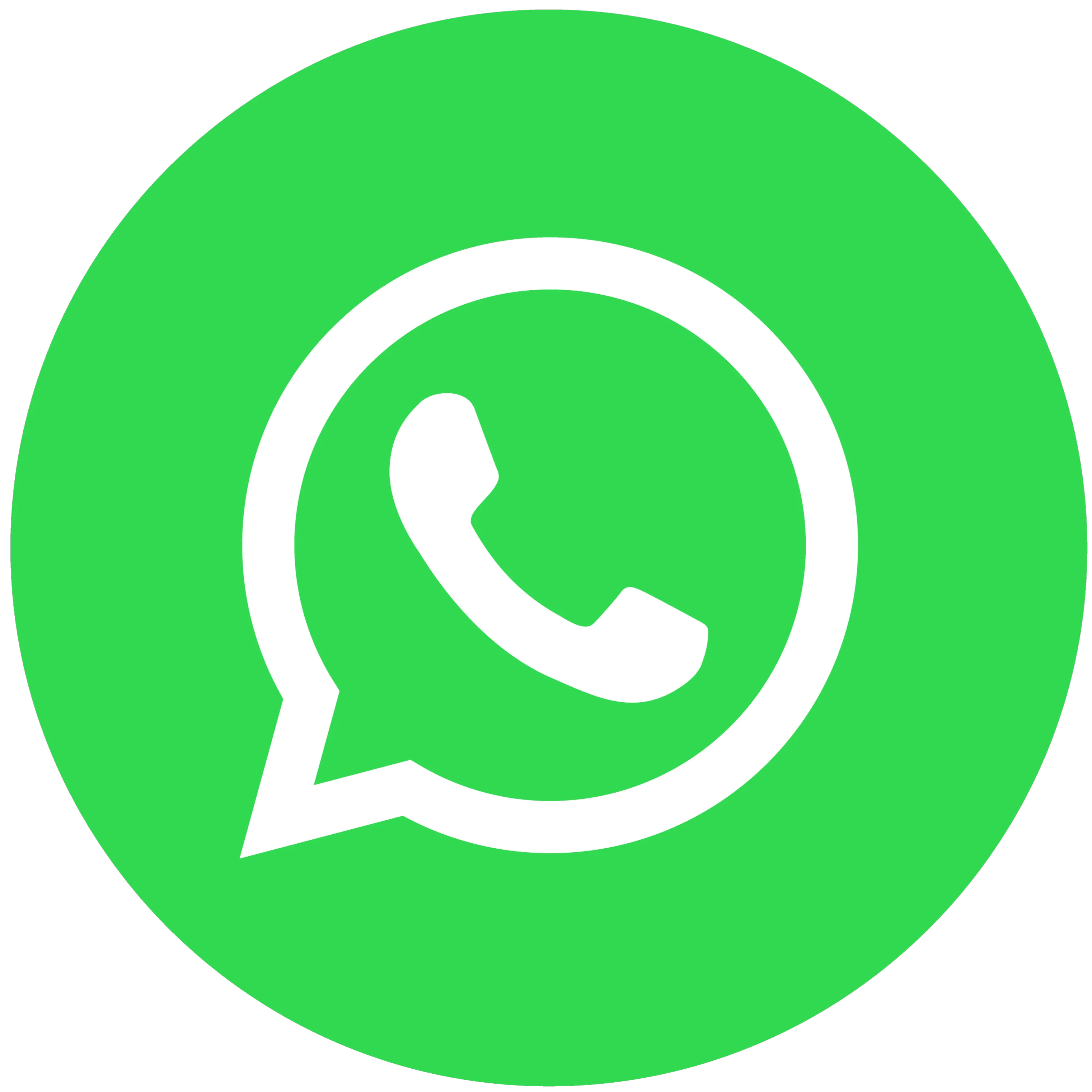 WhatsApp Logo